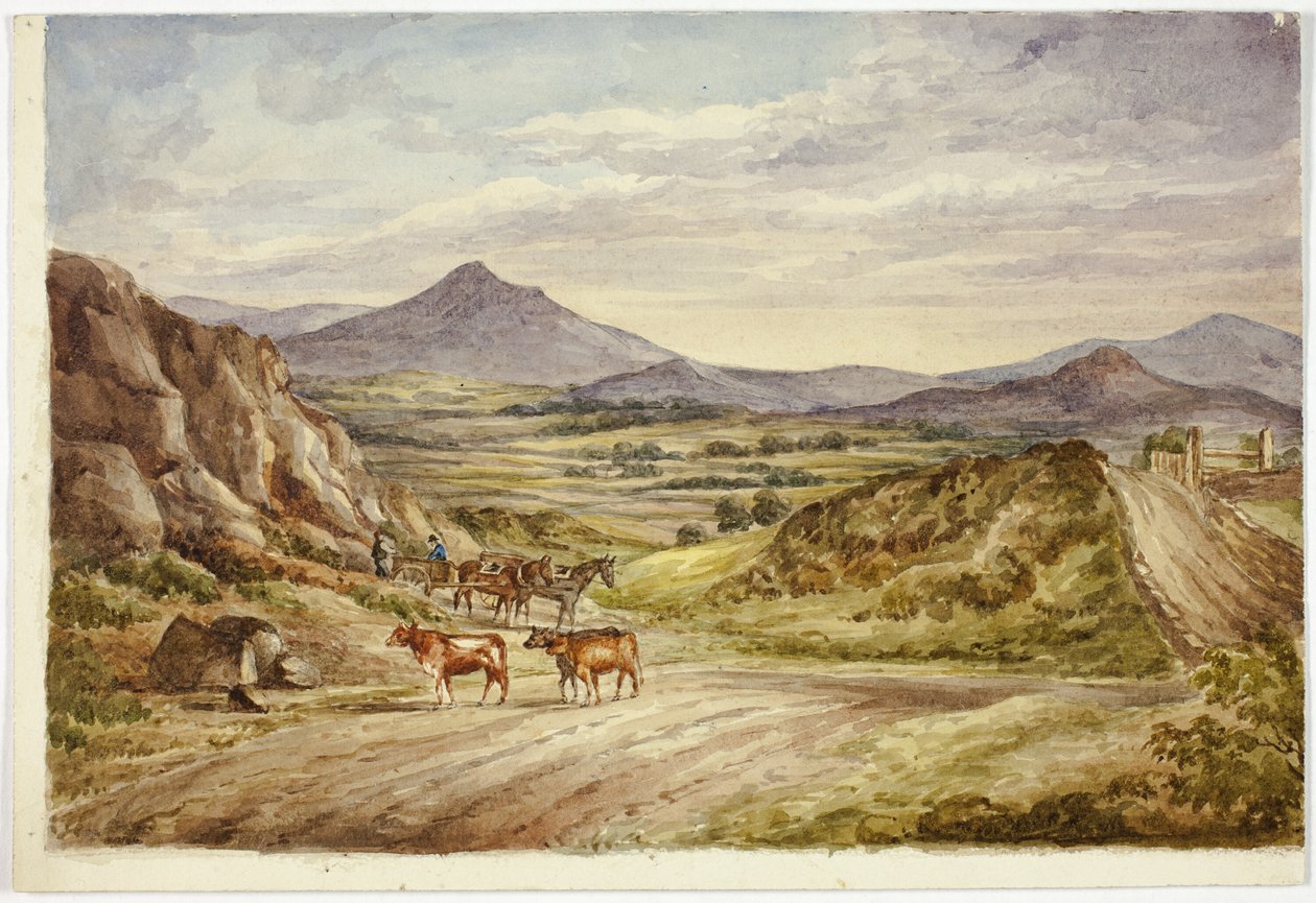 Wicklow Hills von Elizabeth Murray