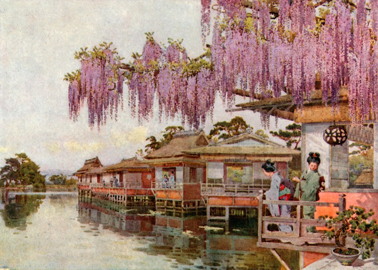 Wistaria, Nagaoka von Ella Du Cane