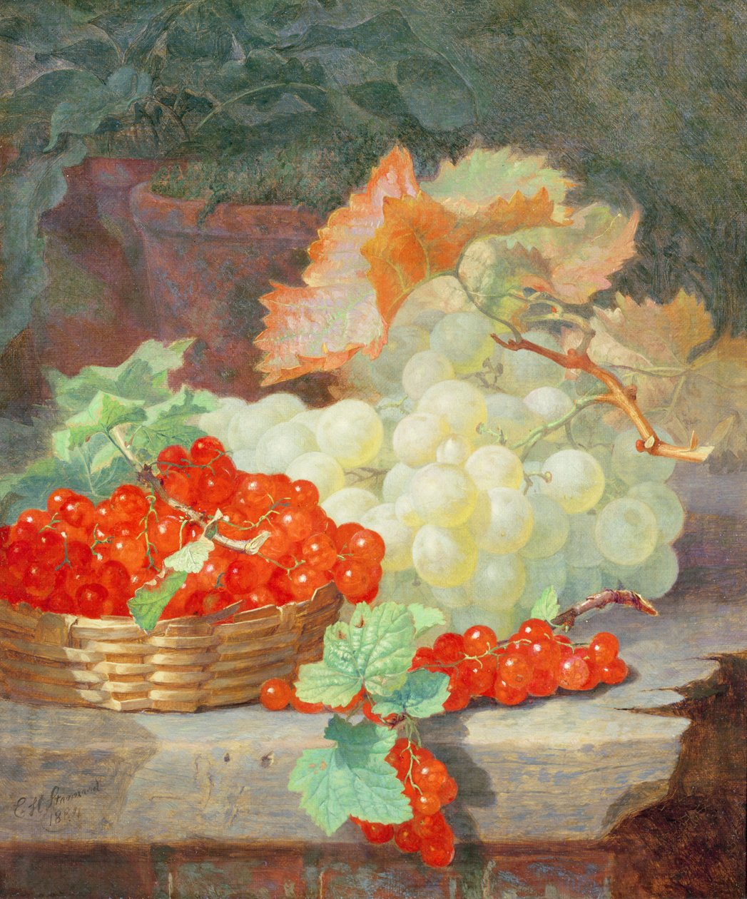 Johannisbeeren und Trauben, 1864 von Eloise Harriet Stannard