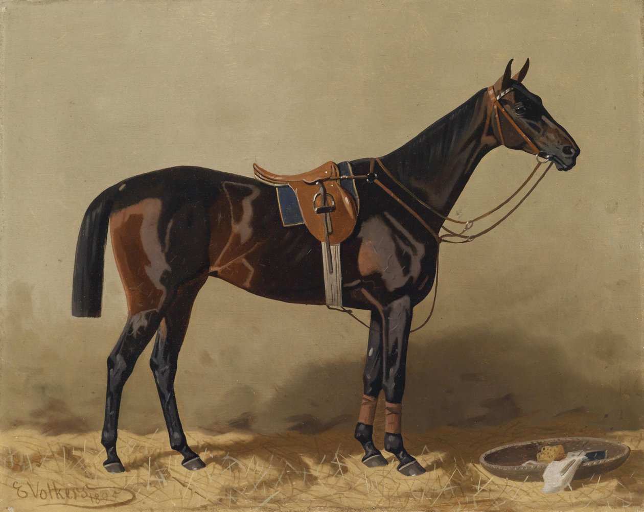 Gesatteltes Sportpferd von Emil Volkers