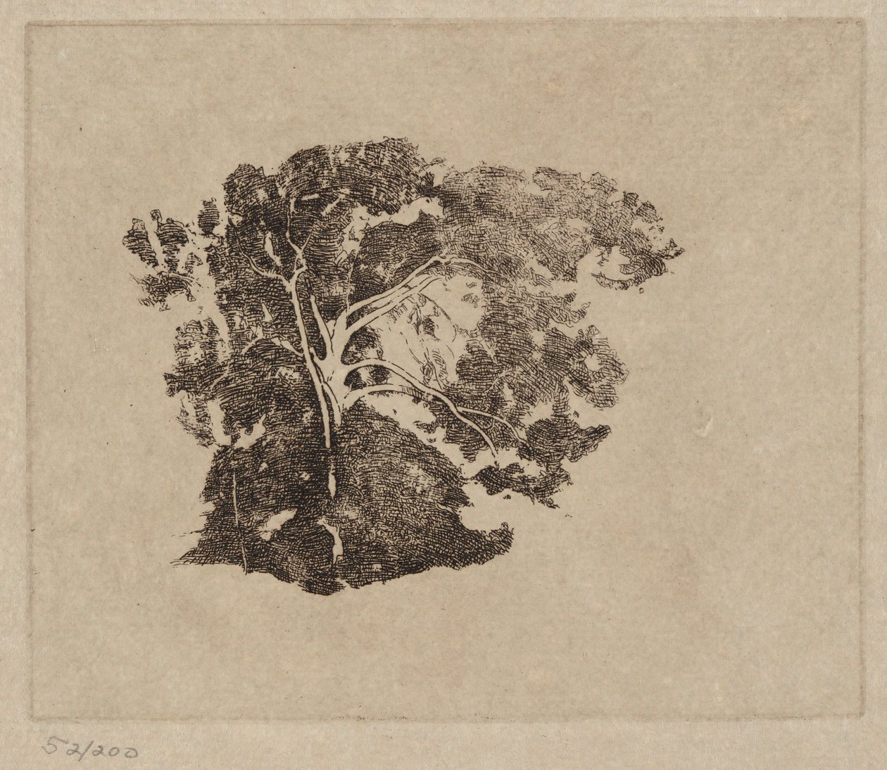 Baumstudie von Emil Carlsen