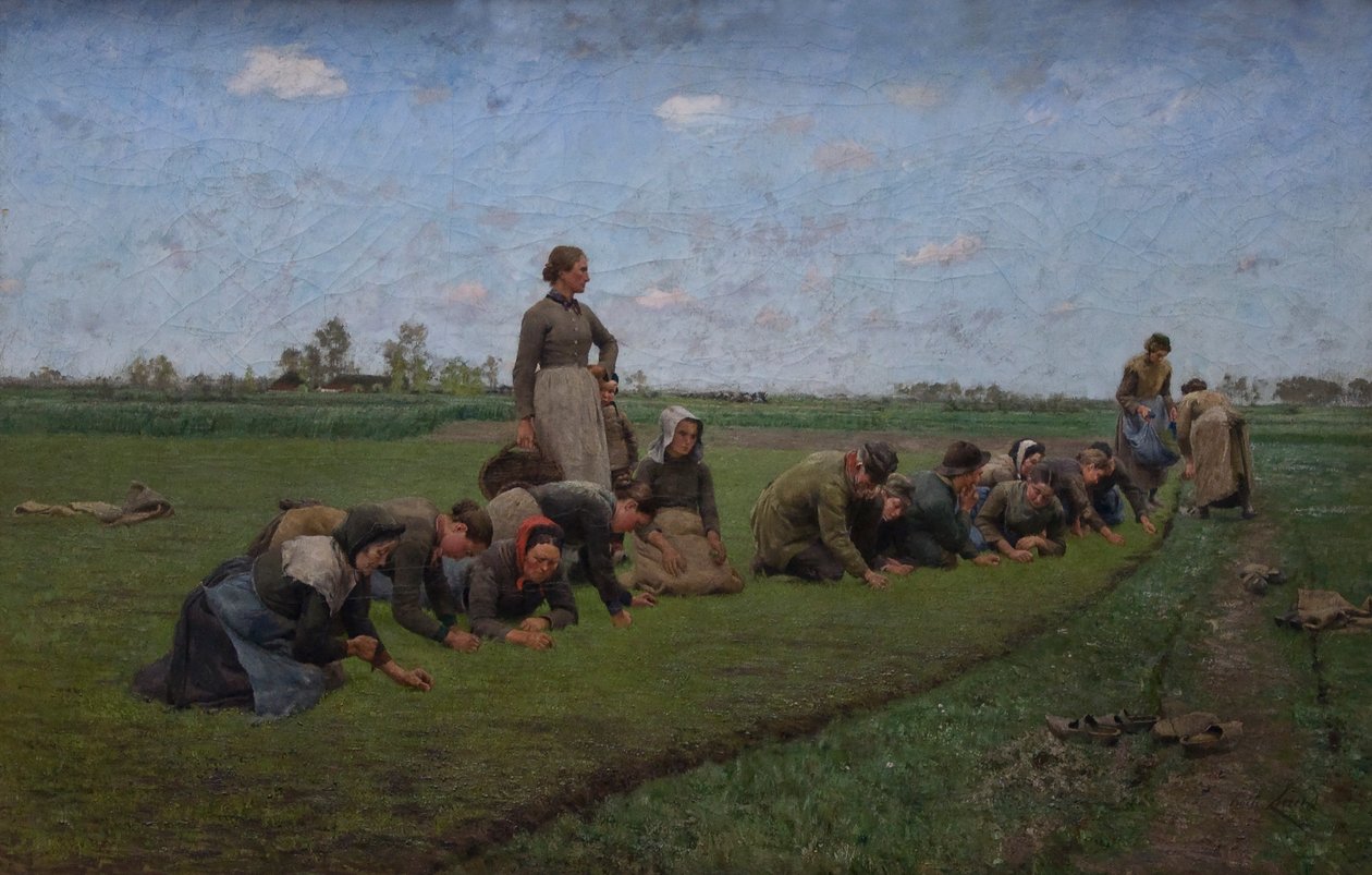 Flachsfelder in Flandern von Emile Claus