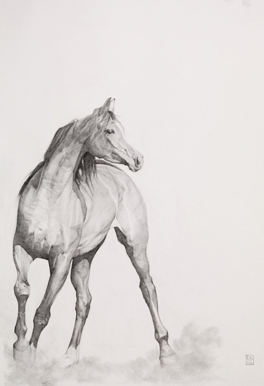 Bewegtes Bild, Serie 1, 2012 von Emma Kennaway