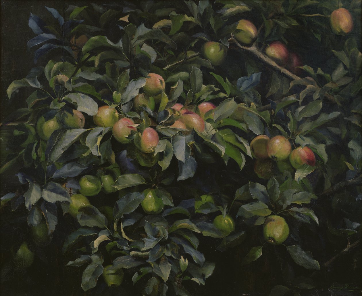 Reife Äpfel von Emmy Thornam