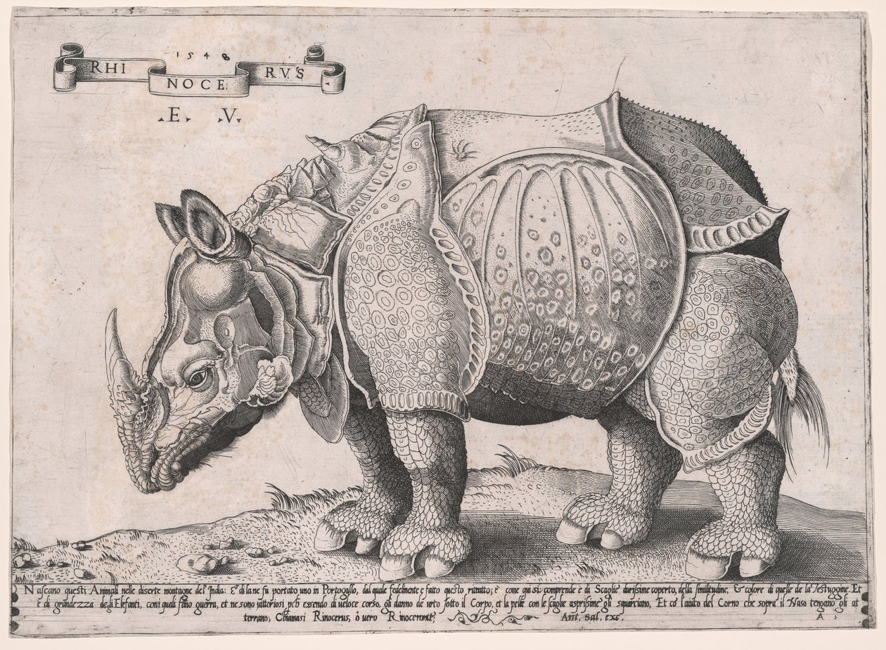 Nashorn von Enea Vico