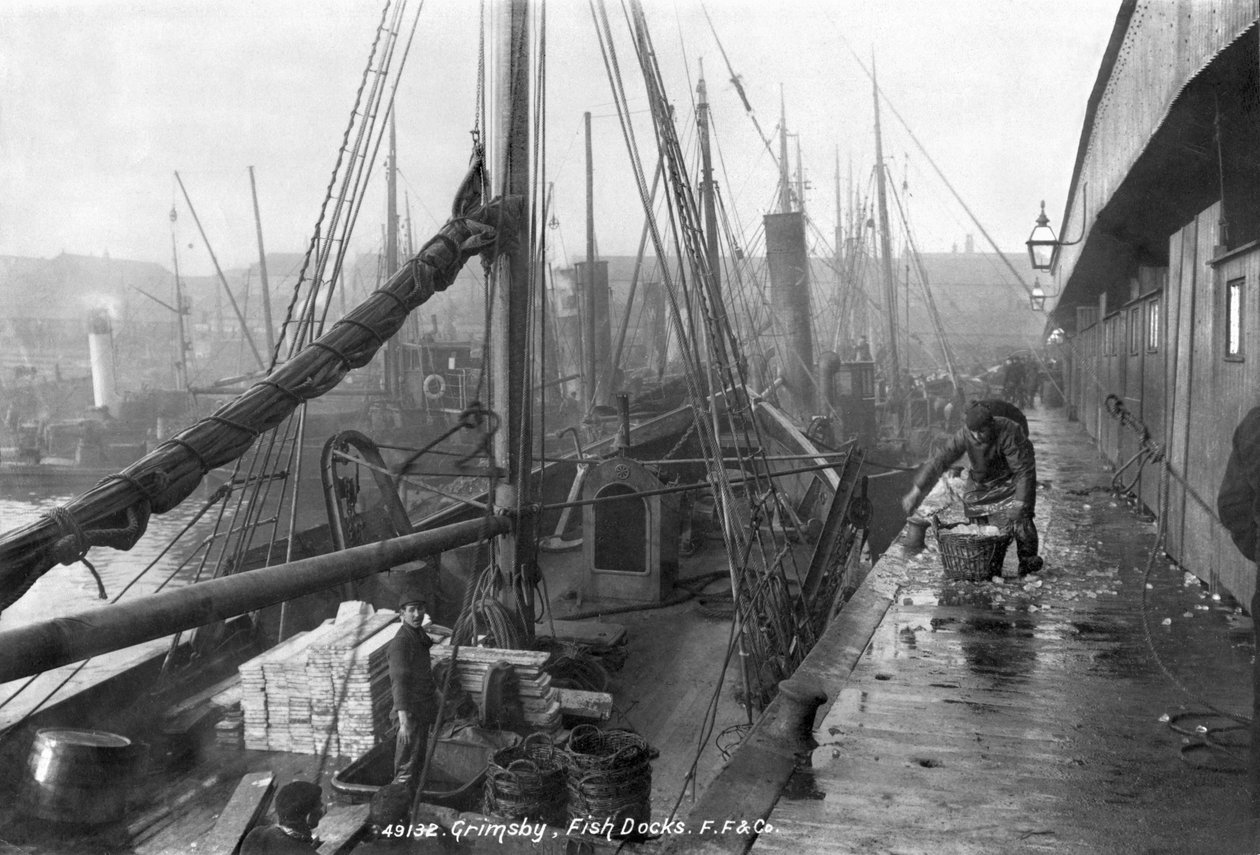 Fischdocks, Grimsby, frühes 20. Jahrhundert von English Photographer