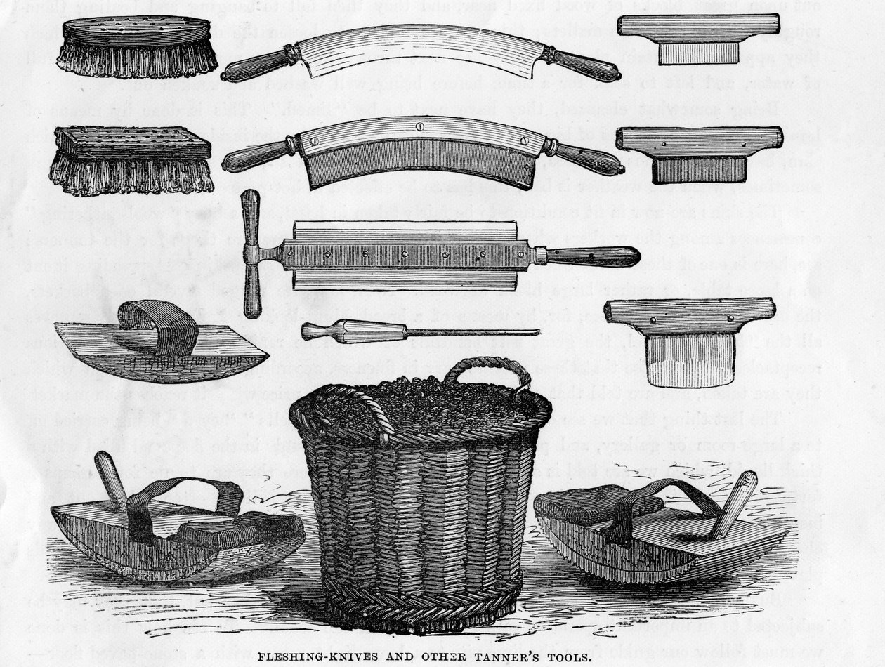 Fleischermesser und andere Werkzeuge des Gerbers von English School
