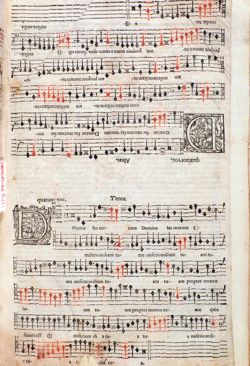 Seite aus A Plaine and Easie Introduction to Practicall Musicke von Thomas Morley, Detail, 1597 von English School