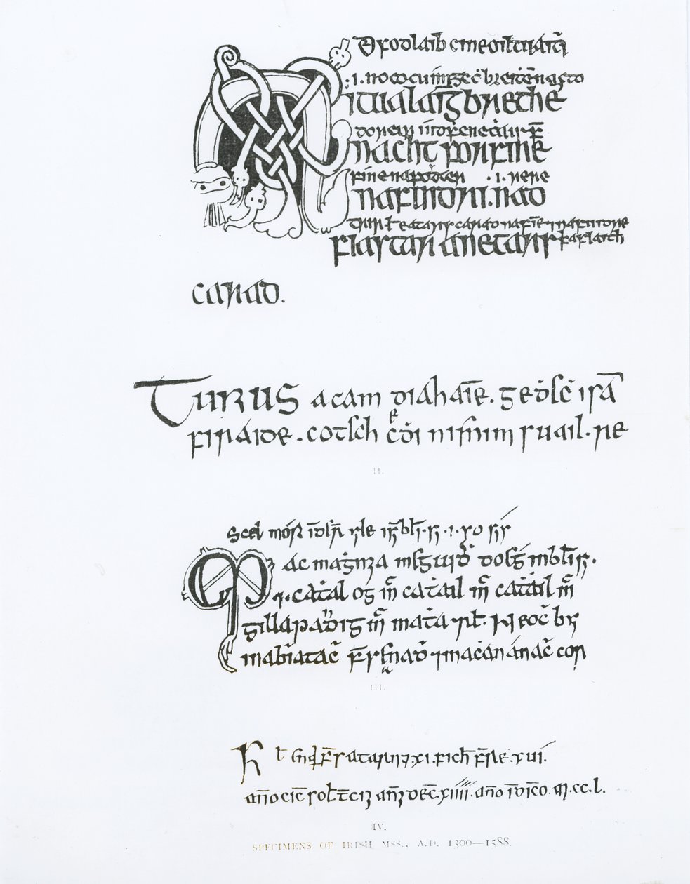 Beispiele irischer Manuskripte, um 1300-1588 von English School