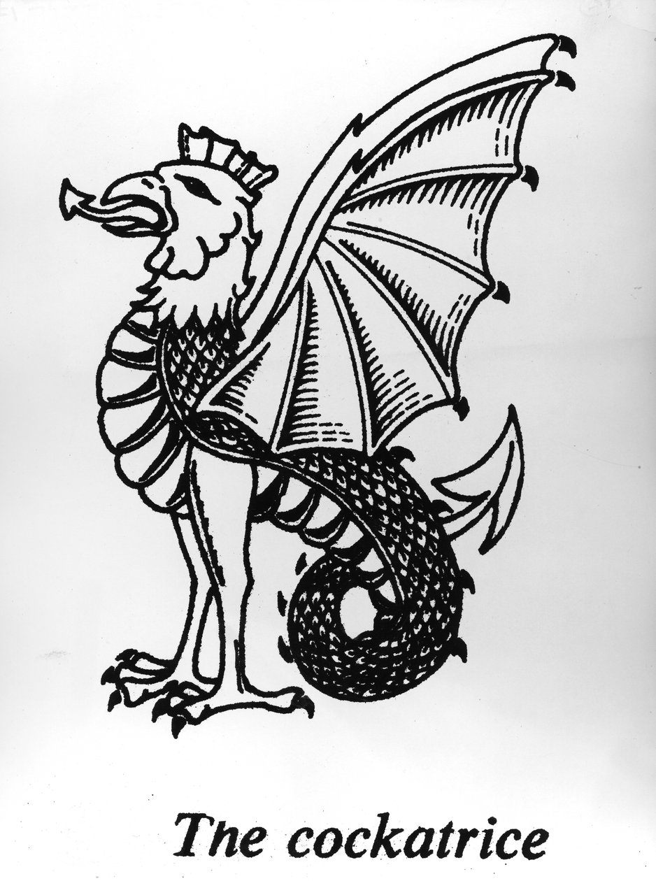 Der Basilisk von English School