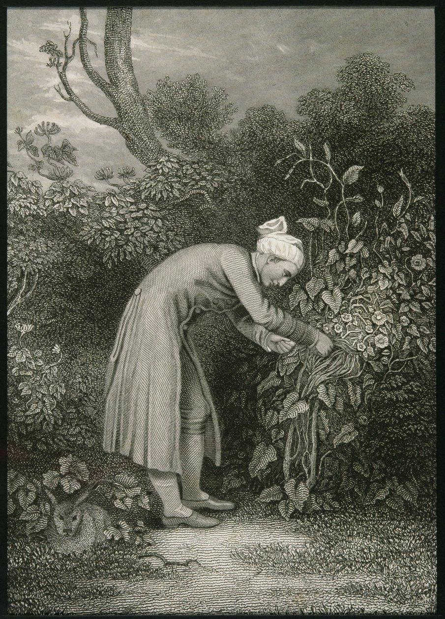 William Cowper (1731-1800) von English School