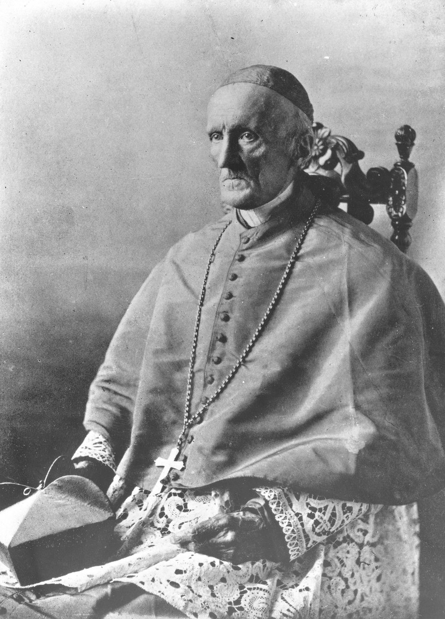 Porträt von Kardinal Manning von English Photographer