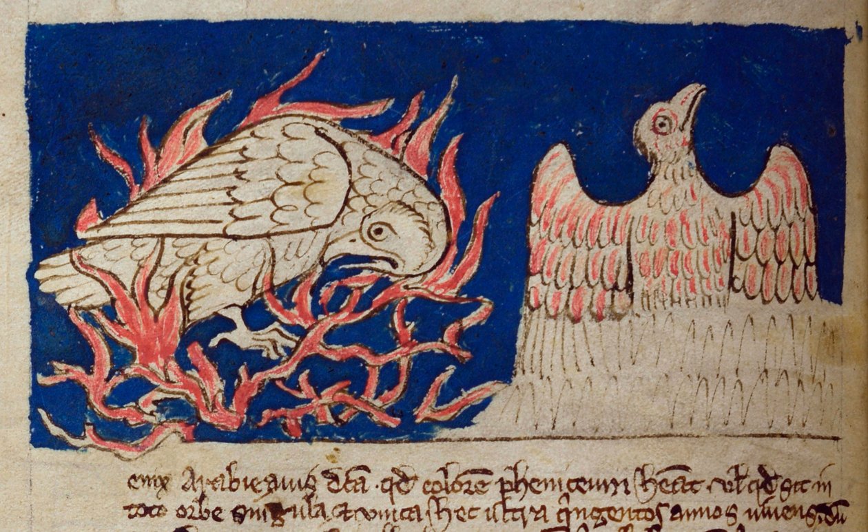 CCA-LitMs/D/10 fol. 17v Phönix, aus Bestiarium von English School