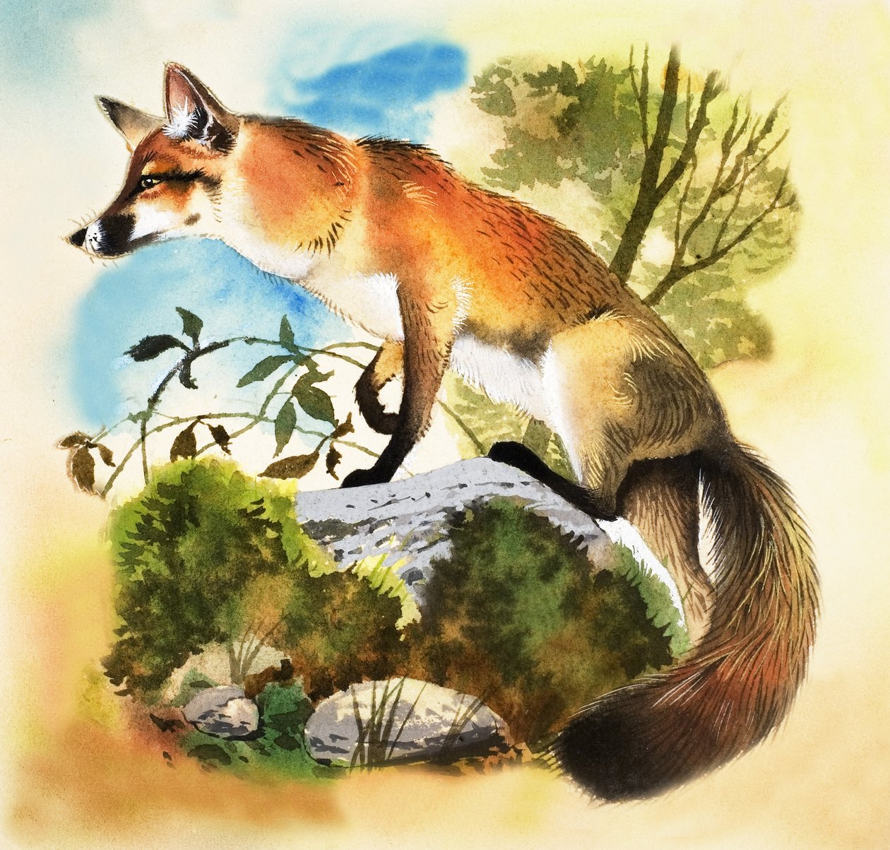 Fuchs von English School