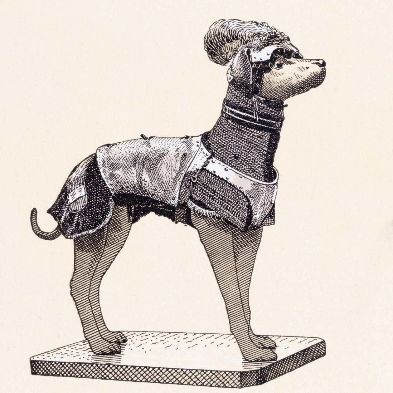 Hund in Körperpanzerung von English School