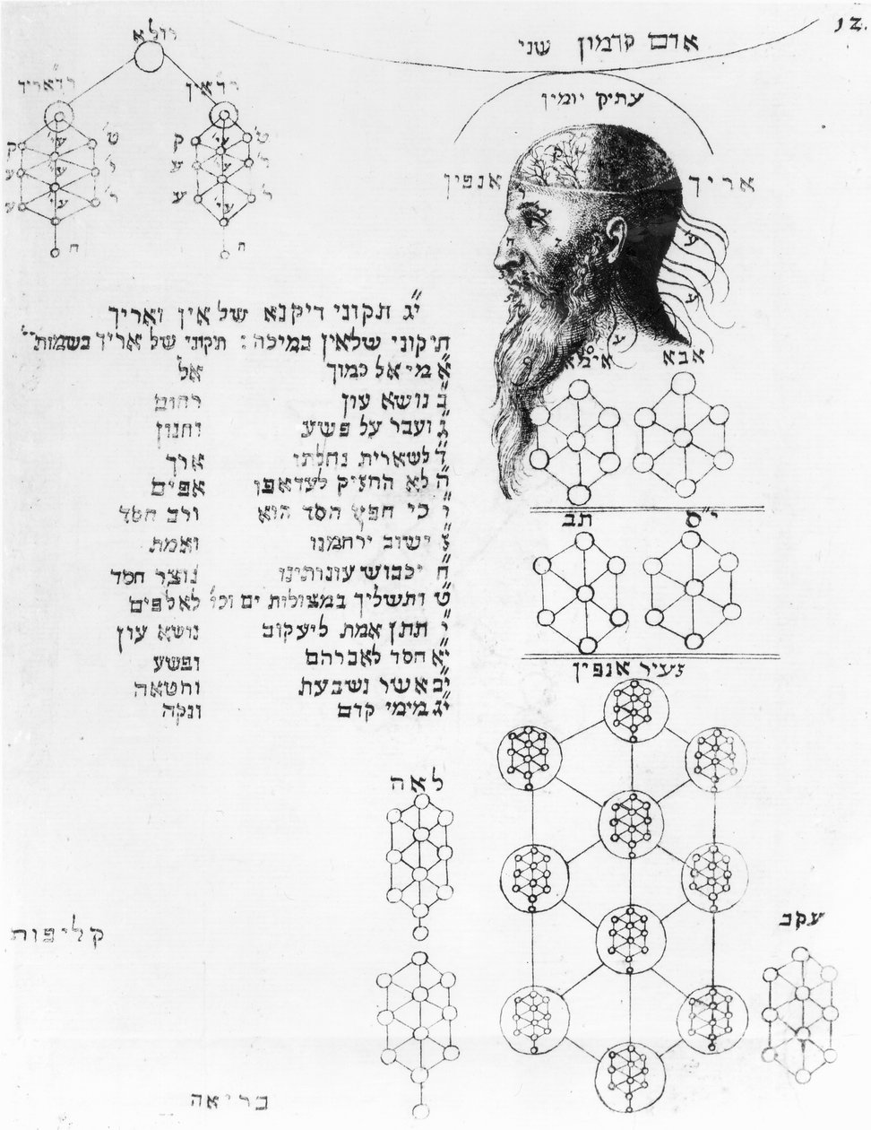 Jüdisches Manuskript, das Phrenologie illustriert von English School
