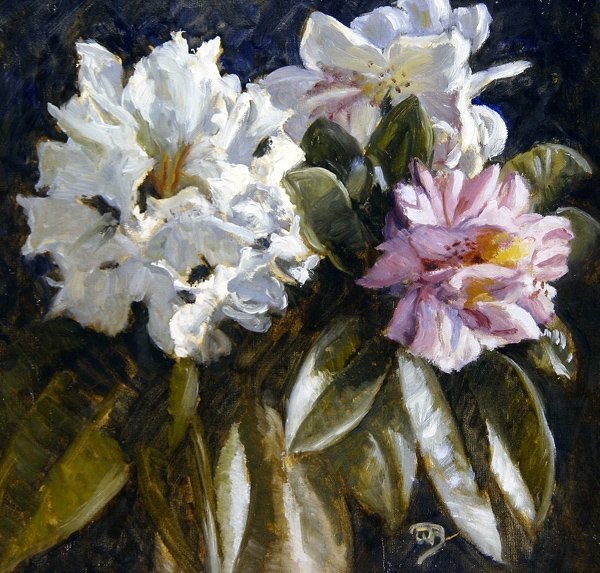 Rhododendron von English School