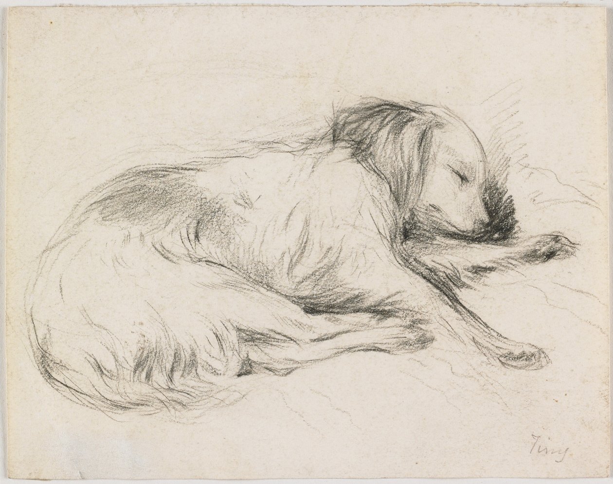 Schlafender Hund, ca. 1840 von English School