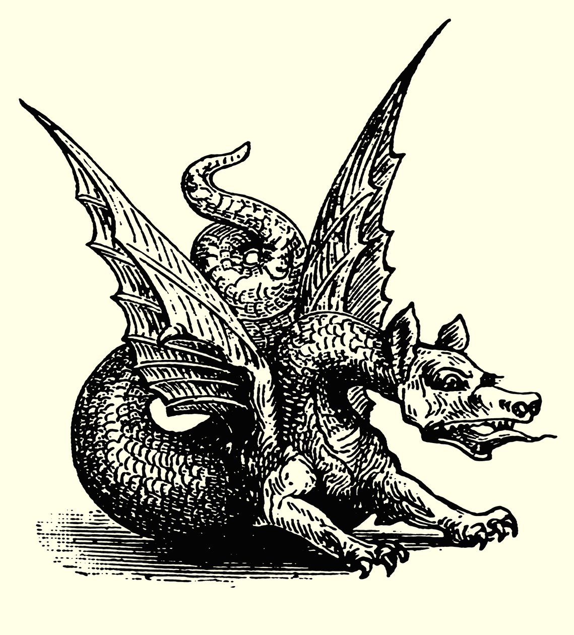 Der Drache der Fabel (Gravur) von English School