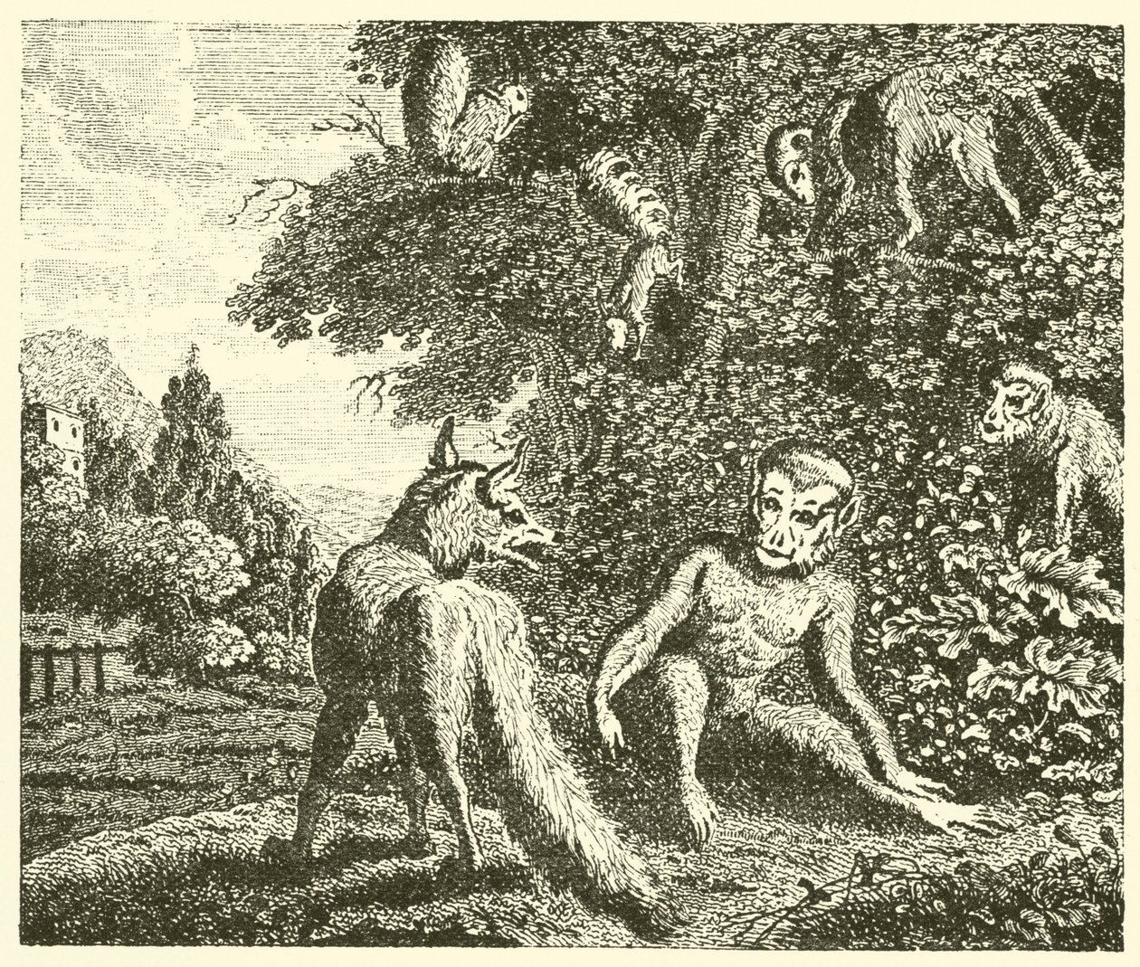 Der Affe und der Fuchs (Gravur) von English School