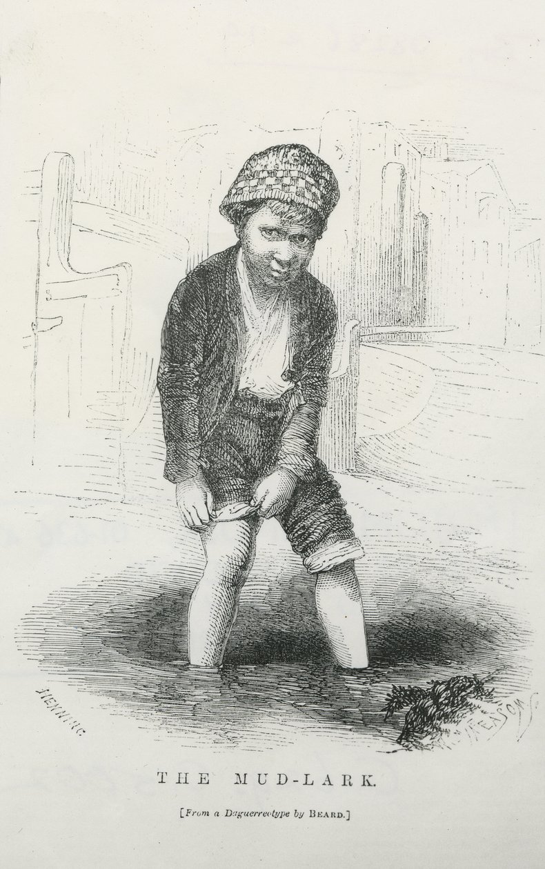 Der Schlamm-Lark von English School