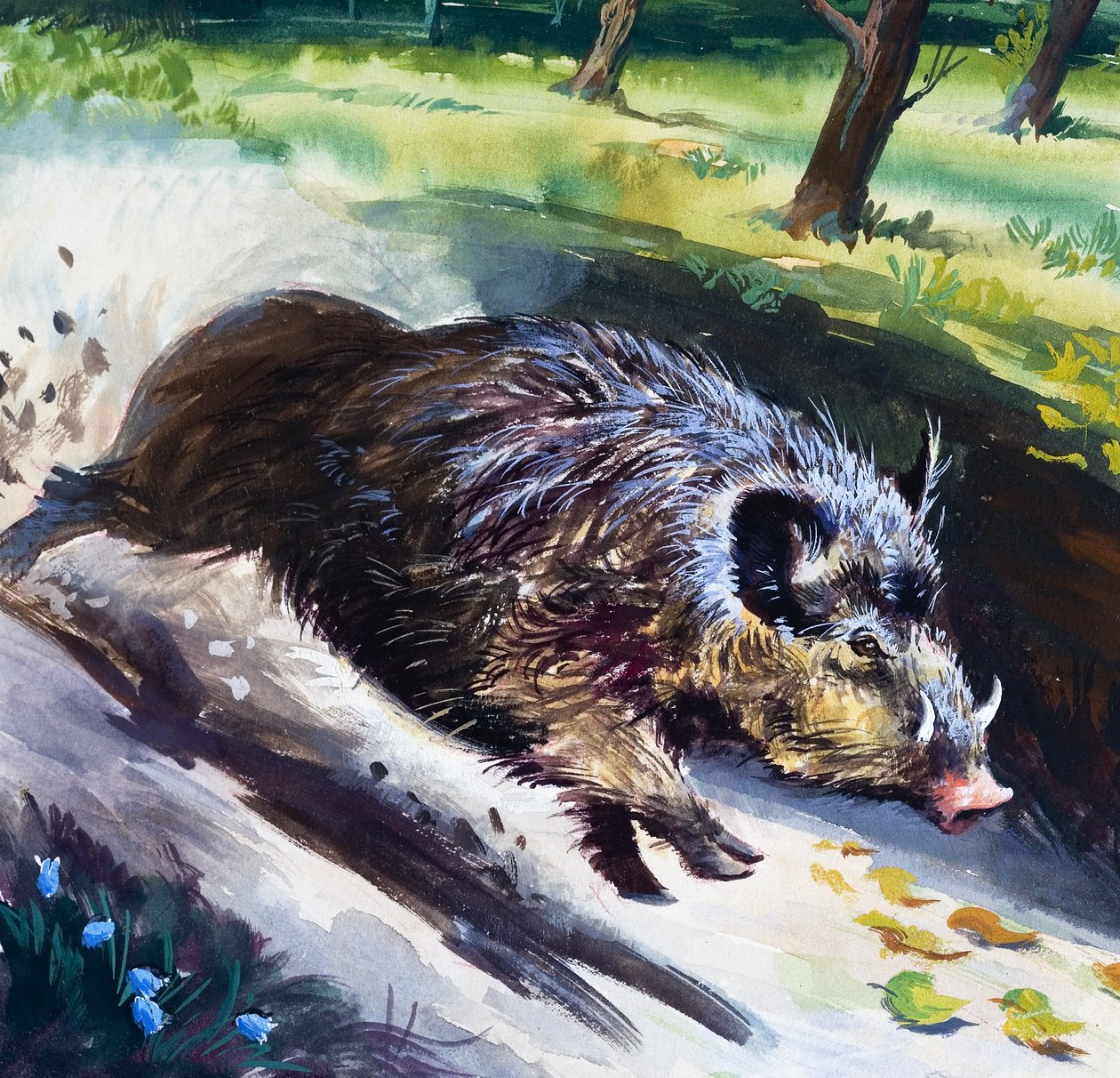 Wildschwein von English School