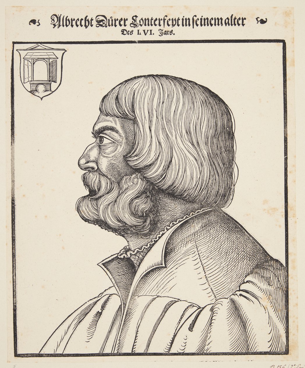 Albrecht Dürer von Erhard Schon