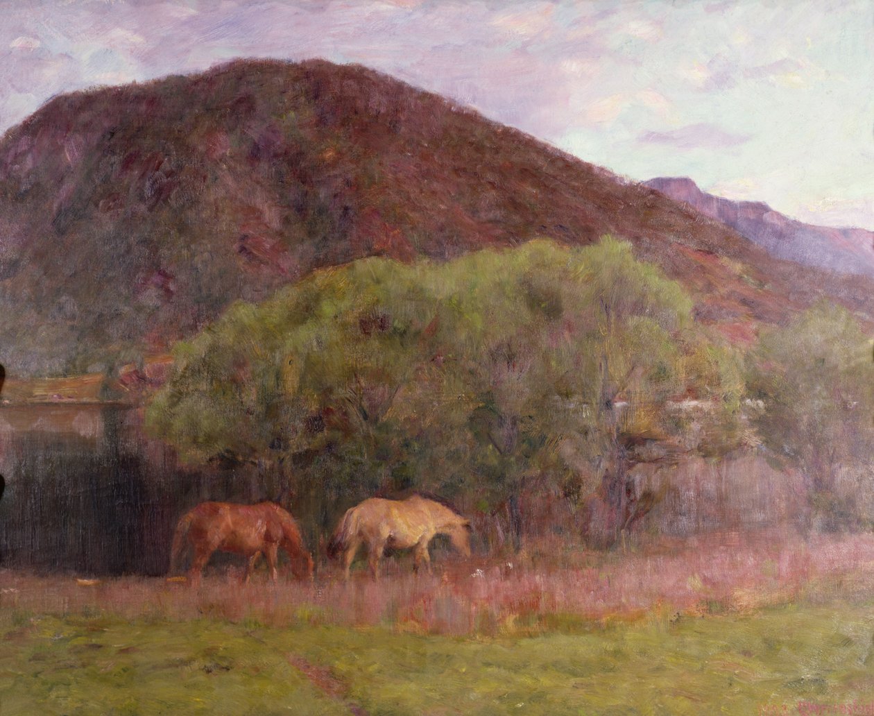 Sommerabend in Kviteseid, 1893 von Erik Theodor Werenskiold