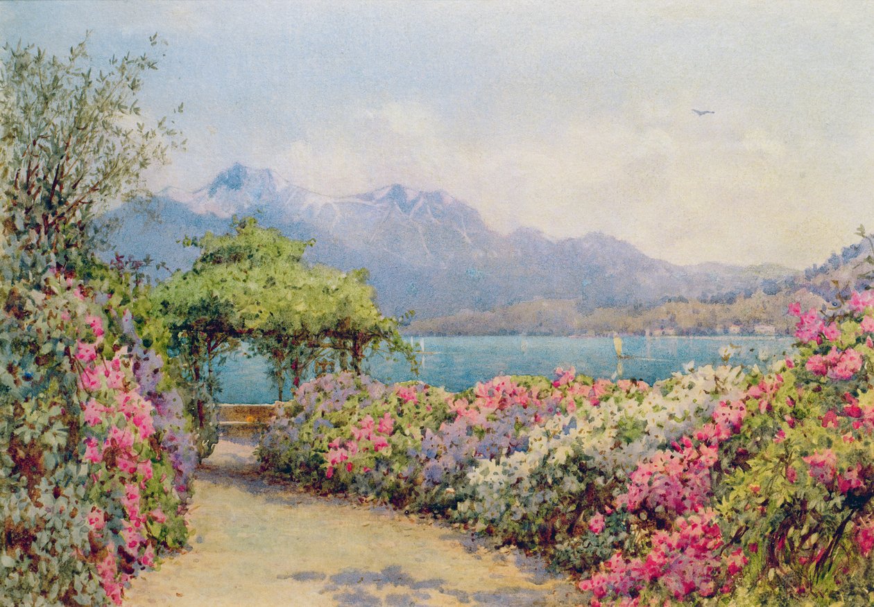 Der Comer See von der Villa Carlotta von Ernest Arthur Rowe