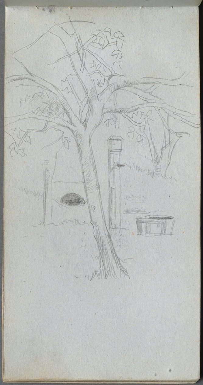 Skizzenbuch, Seite 36: Baumstudie von Ernest Meissonier