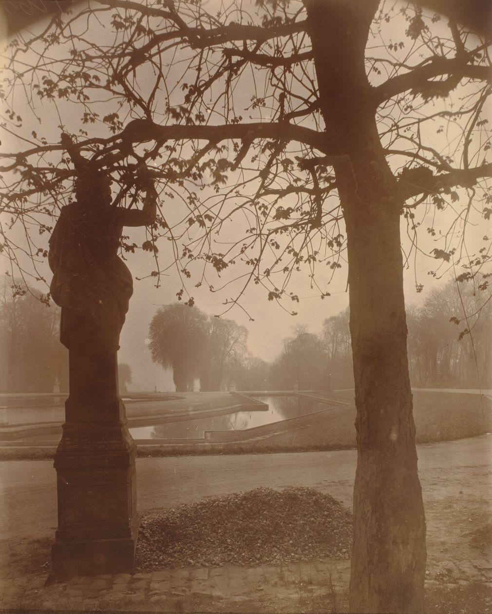 Saint-Cloud, 1926 von Eugène Atget