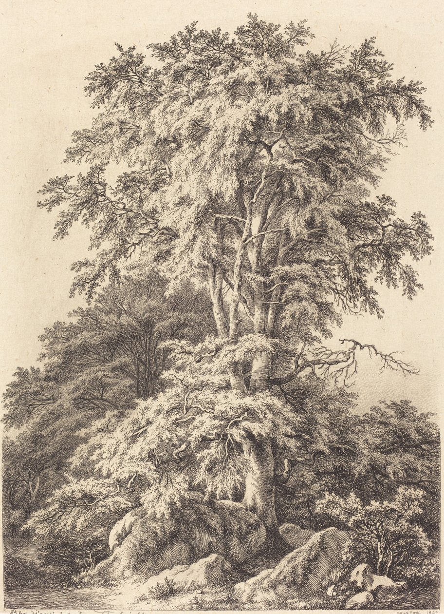 Buchenhain, 1840 von Eugene Bléry
