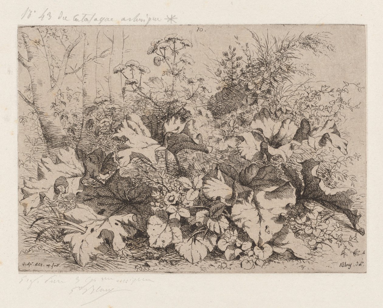 Blühende Klette von Eugene Bléry
