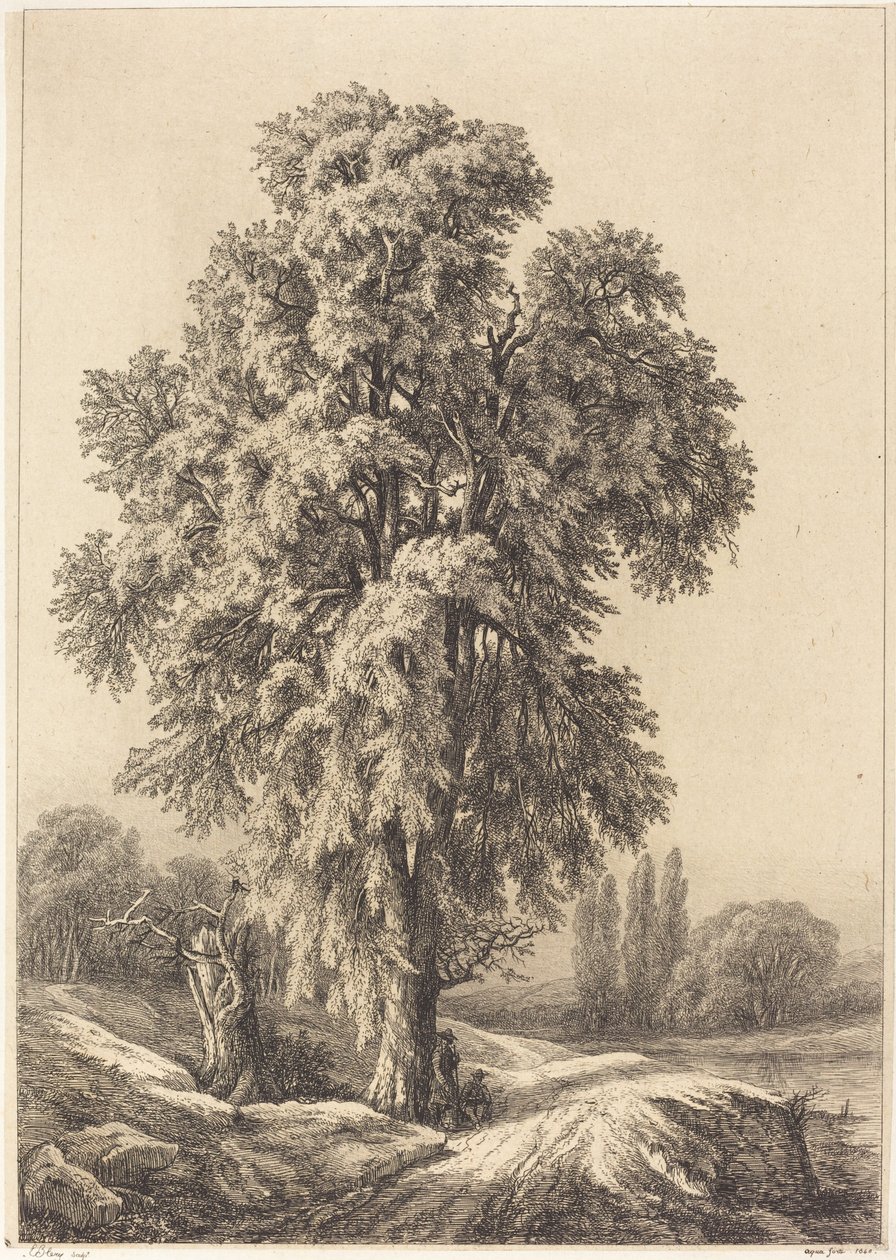 Der Ulmenbaum von Eugene Bléry