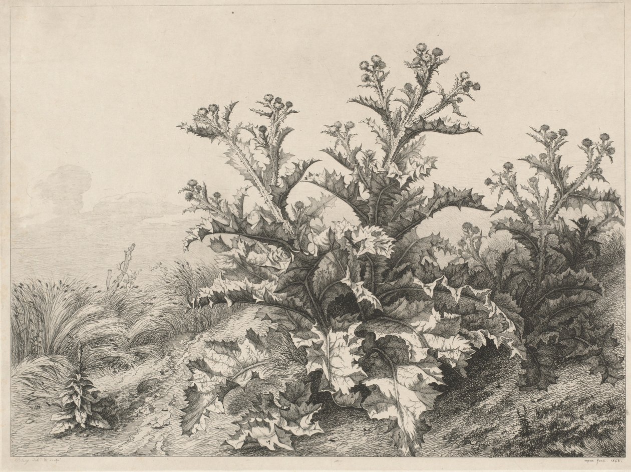 Die große Distel von Eugene Bléry