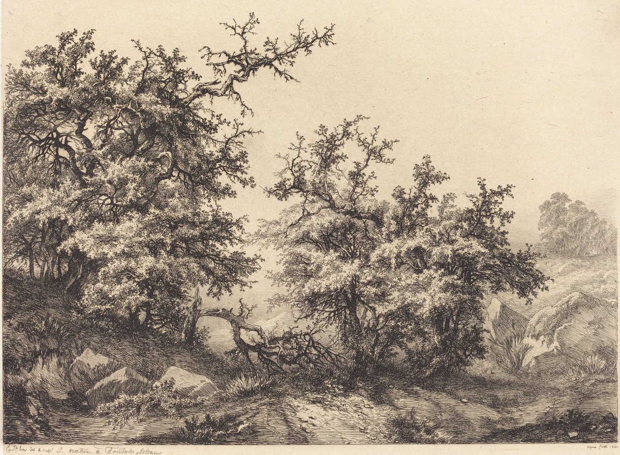 Dornbüsche von Eugene Bléry