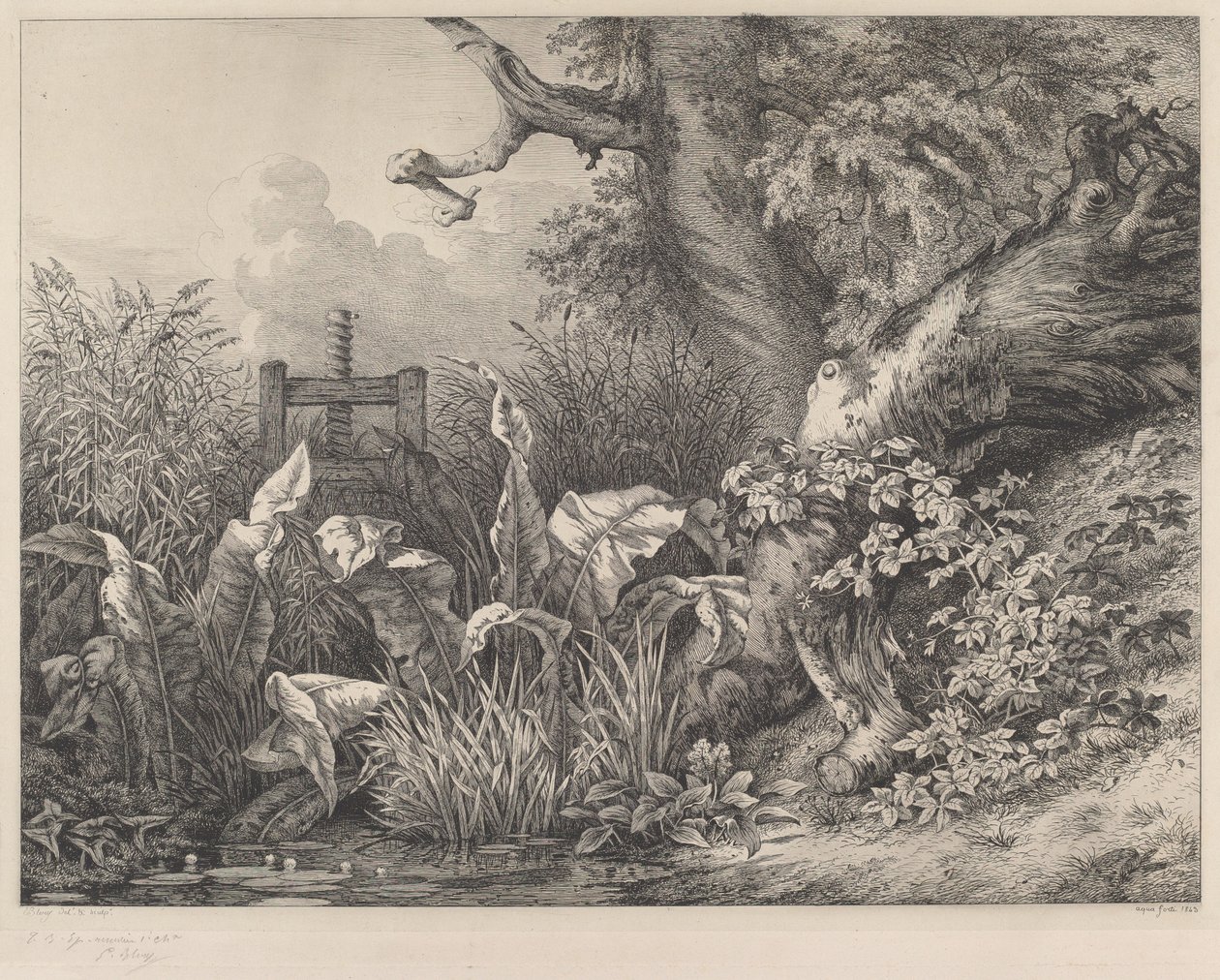 Wasserampfer und Brombeeren an einem Schütz von Eugene Bléry