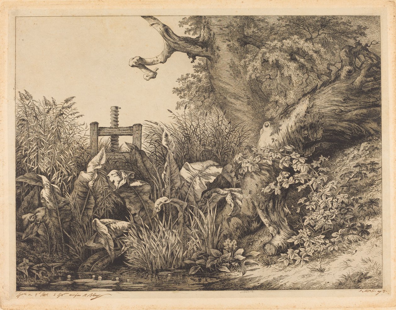 Wasserampfer und Brombeeren an einer Schleuse von Eugene Bléry