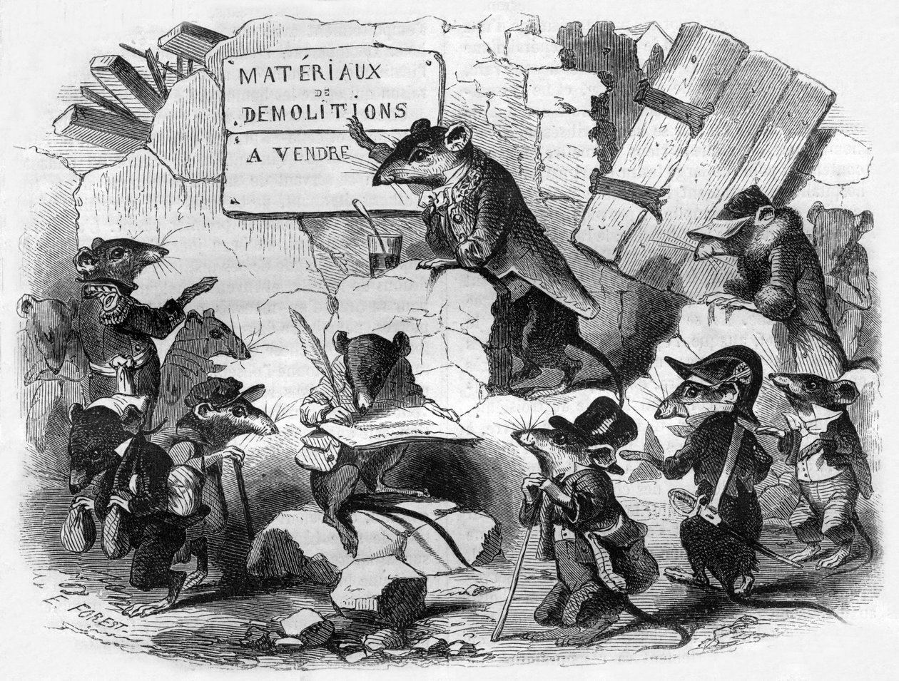 Der Rat der Ratten von Eugene Hippolyte Forest