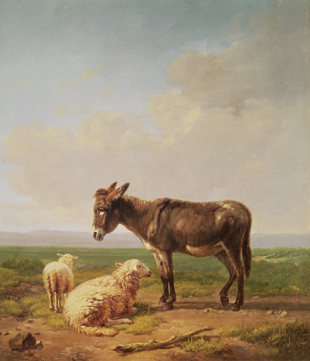 Esel und Schafe, 1849 von Eugene Joseph Verboeckhoven