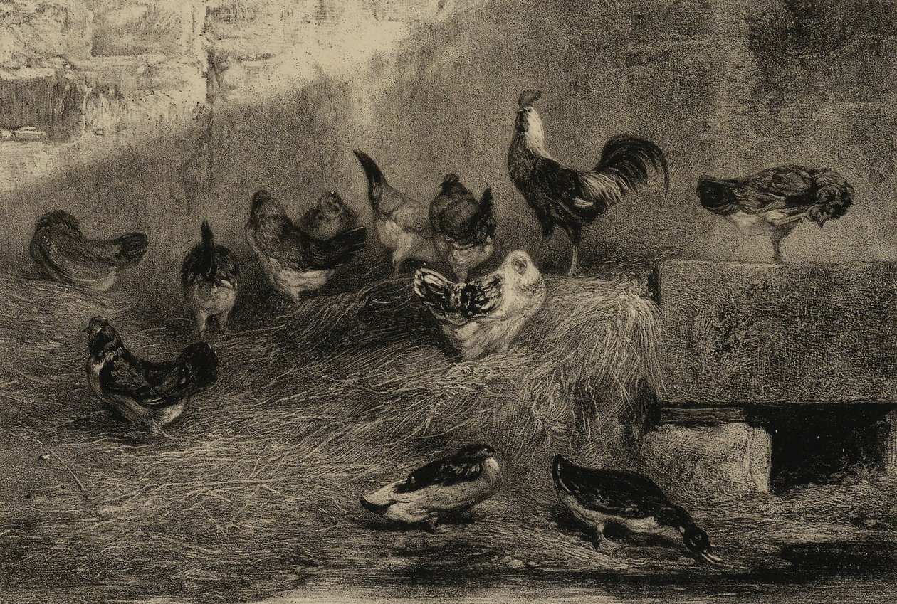 Hühner und Enten von Eugene Leroux