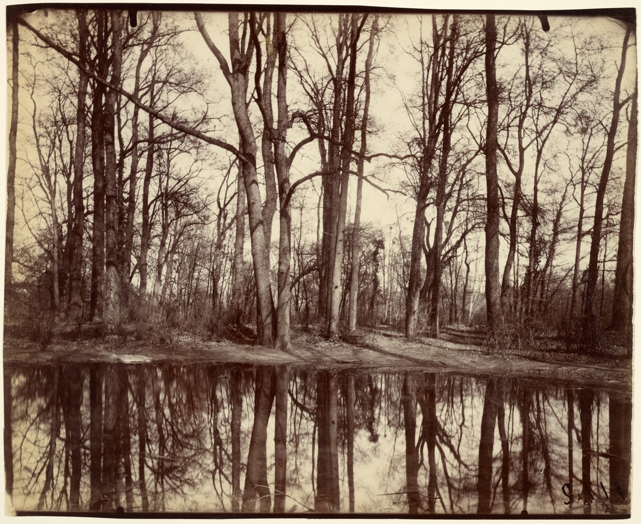 Saint-Cloud von Eugène Atget
