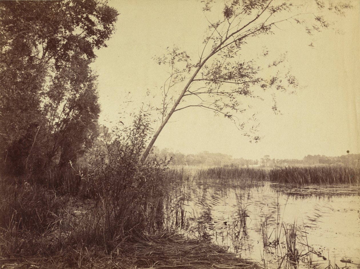 Marais de Fampoux von Eugène Cuvelier