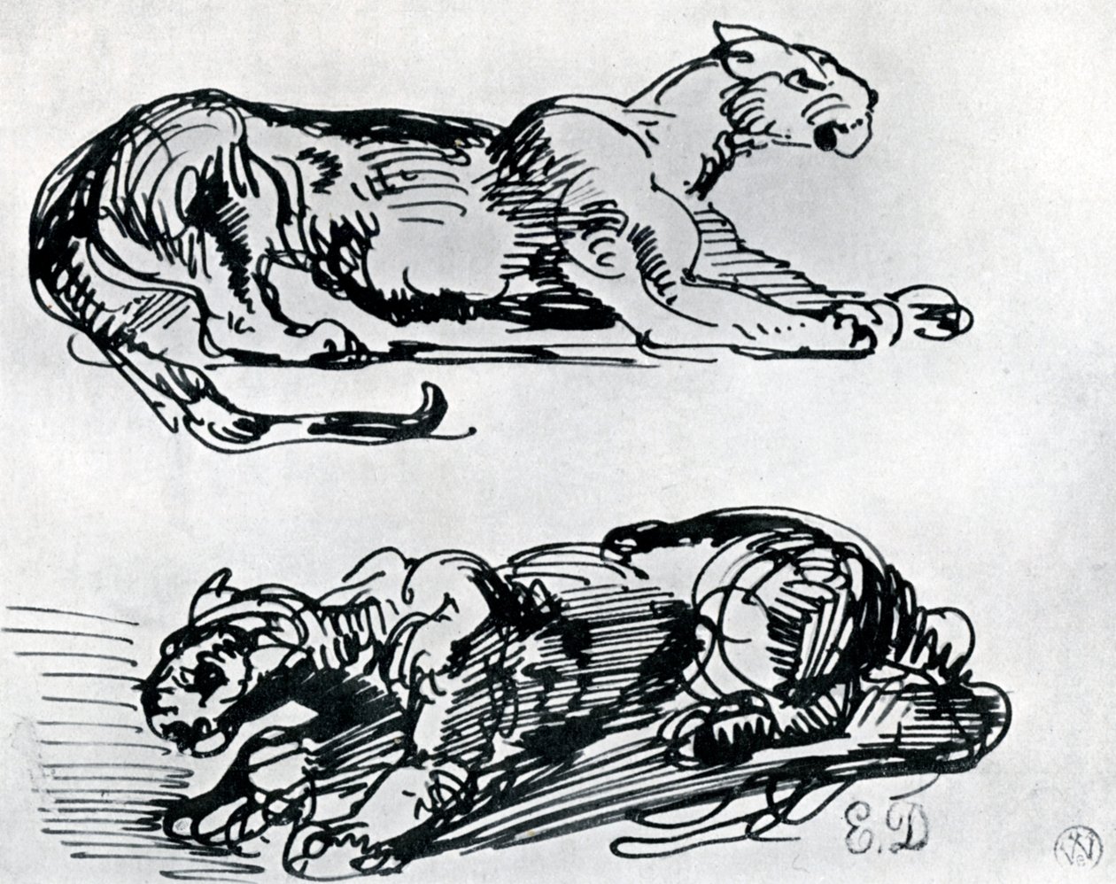 Studien von Panthern, 1913 von Ferdinand Victor Eugene Delacroix