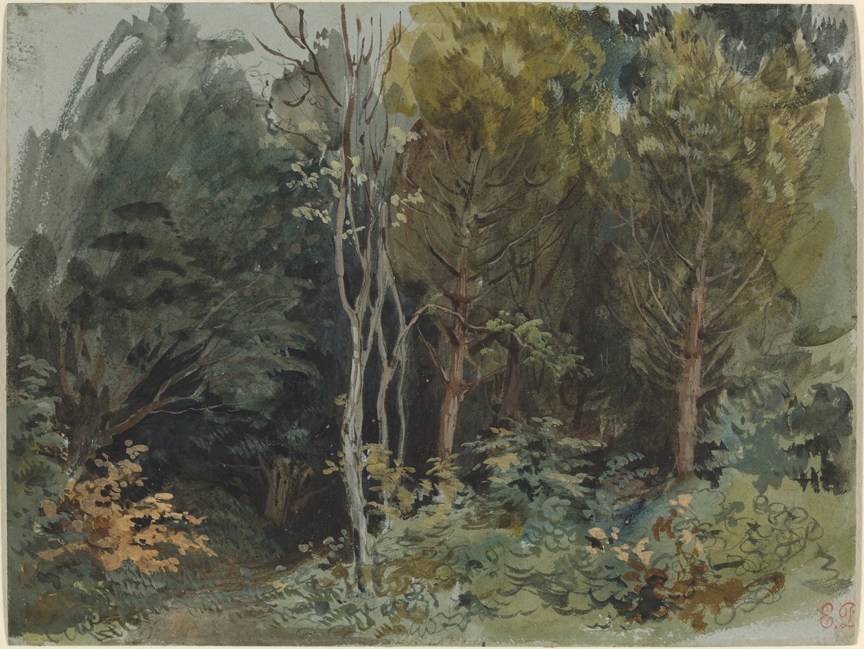 Der Rand eines Waldes in Nohant von Eugène Delacroix