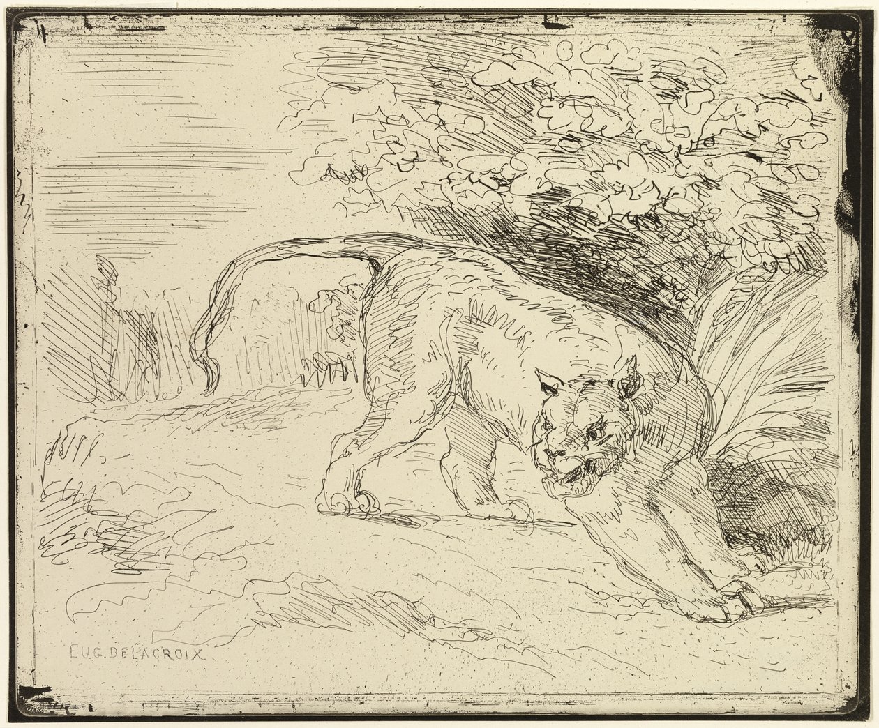 Tiger bereit zum Sprung von Eugène Delacroix