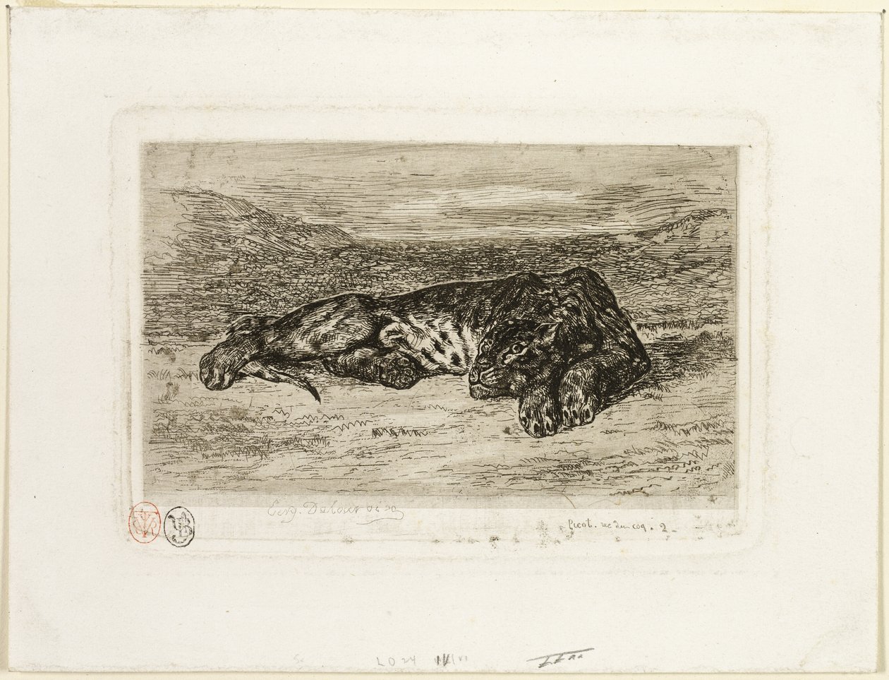 Tiger ruht in der Wüste von Eugène Delacroix
