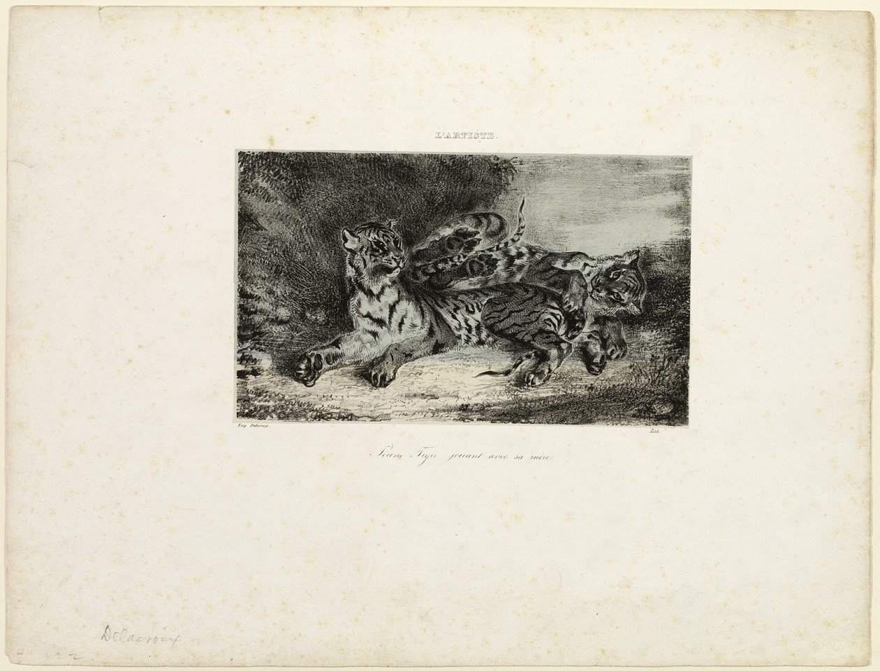 Junger Tiger spielt mit seiner Mutter von Eugène Delacroix