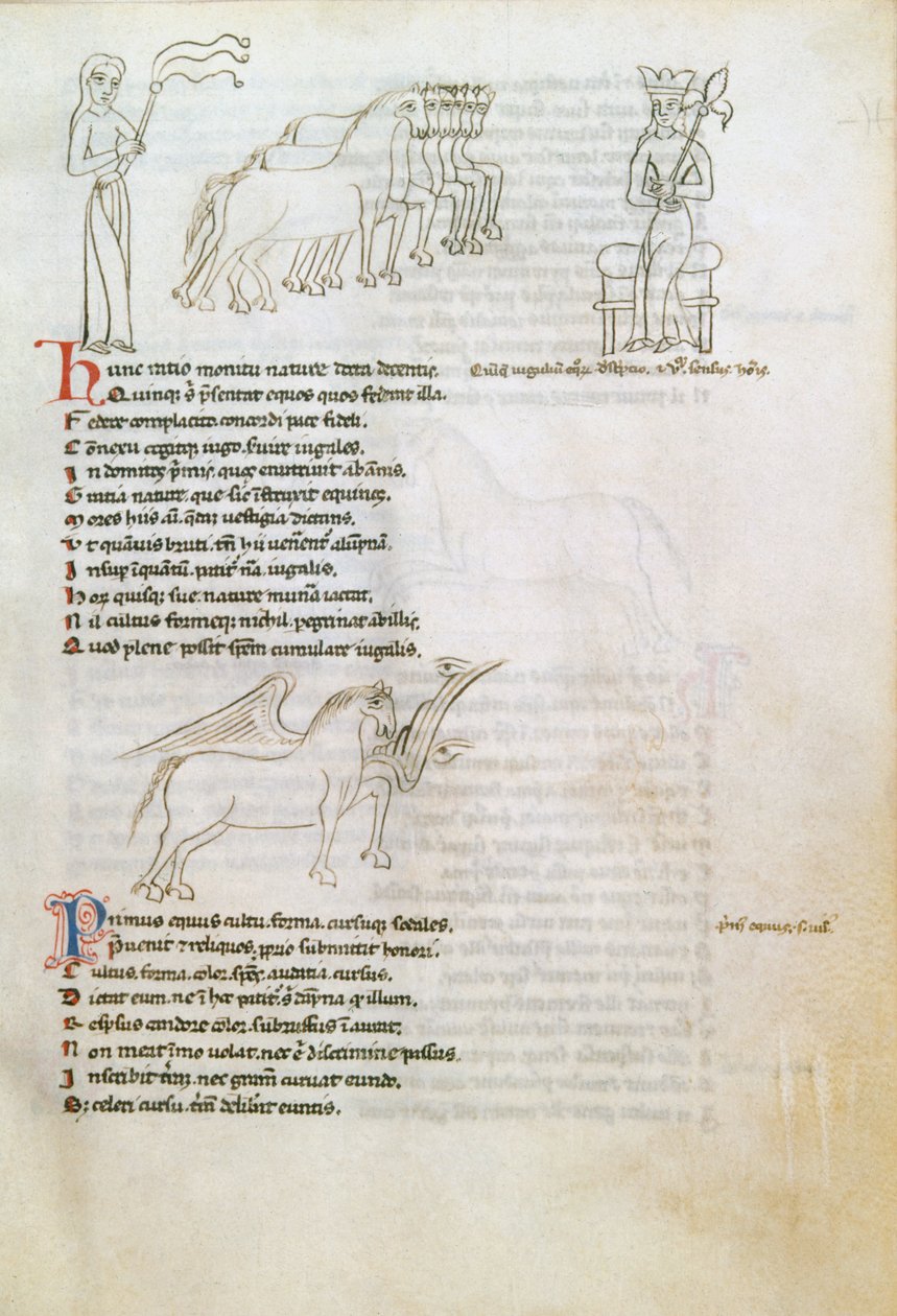 Bestiarium: das Pferd von European School