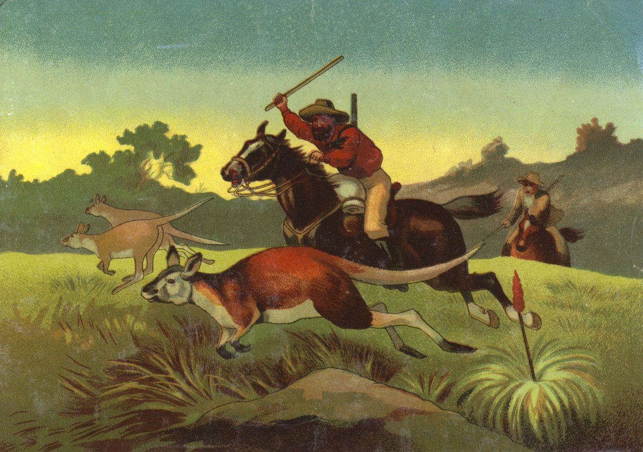 Känguru-Jagd von European School